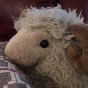 Meet your Posher, Sam